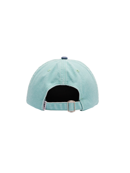 OBEY PIGMENT 2 TONE LOWERCASE 6 PANEL SURF SPRAY MULTI