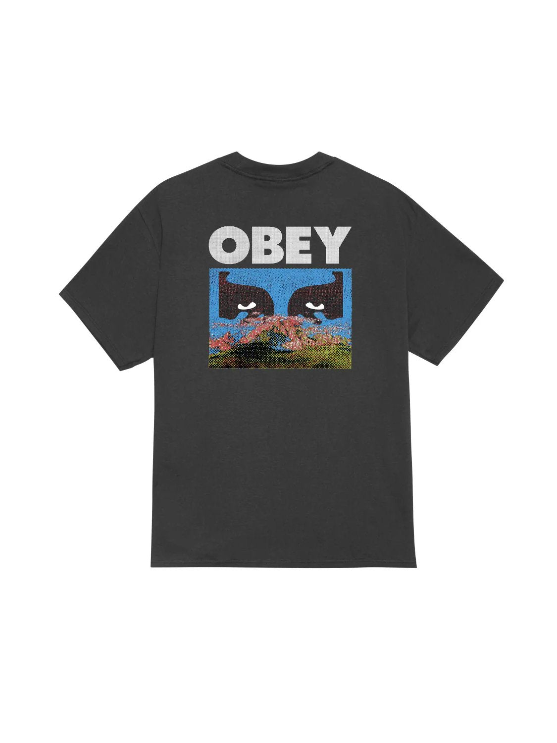 OBEY IN A DIFFERENT PLACE T-SHIRT VINTAGE BLACK