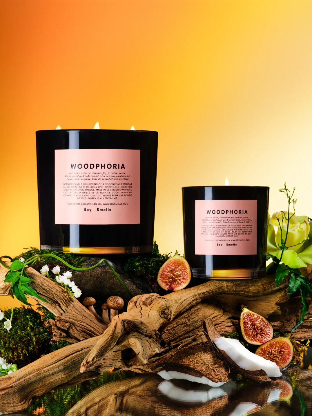 BOY SMELLS WOODPHORIA CANDLE