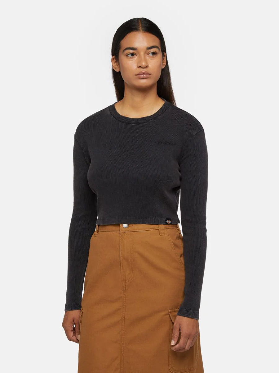 DICKIES DUCK CANVAS SKIRT BROWN