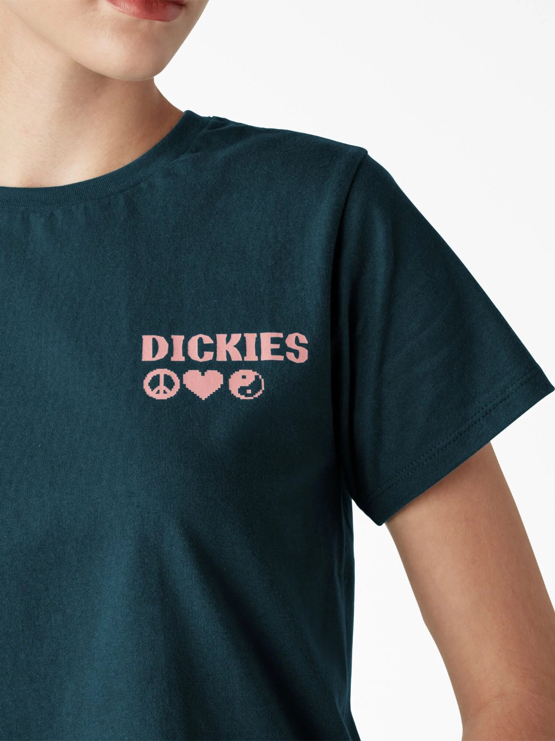 DICKIES GRAPHIC T-SHIRT REFLECTING POND